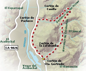 Mapa de ruta