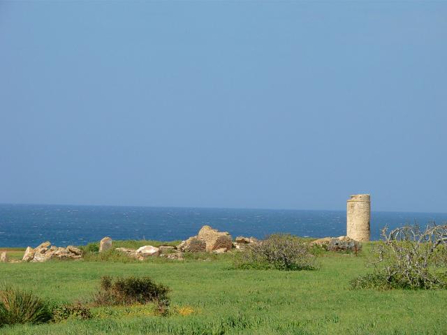 Torre del Puerco - Chiclana (Cádiz)
