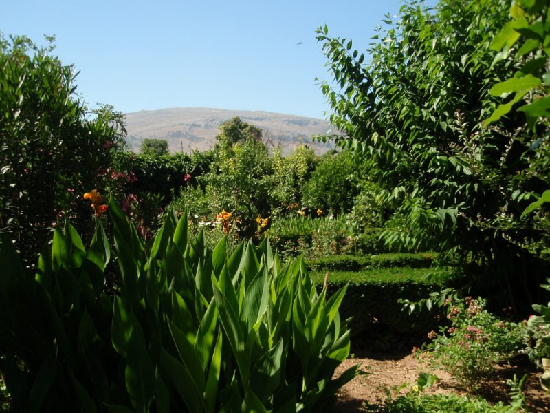 Jardines de Narváez con la Sierra de Loja al fondo
