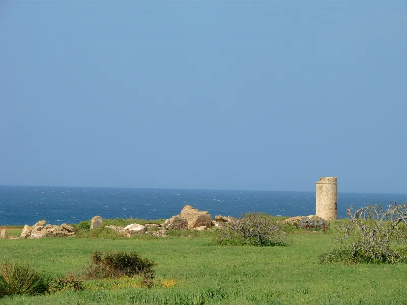 Torre del Puerco - Chiclana (Cádiz)