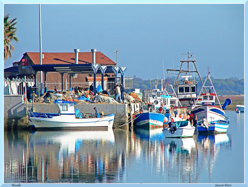 Puerto pesquero de Sancti-Petri, Chiclana