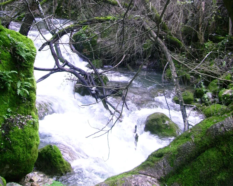 Rio Majaceite 11