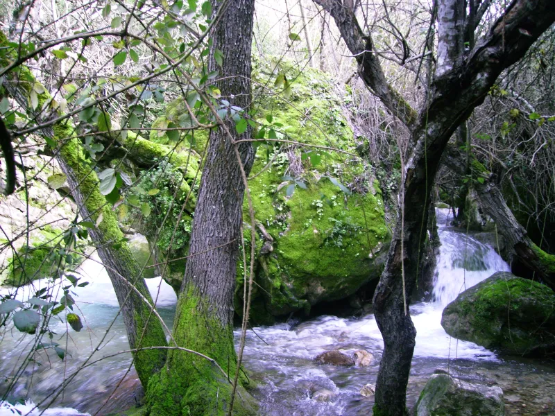Rio Majaceite 2