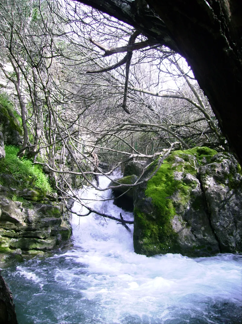 Rio Majaceite 8