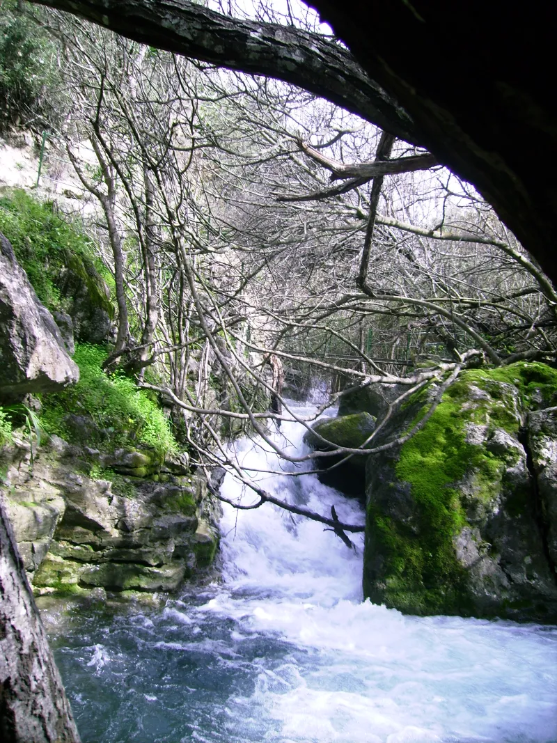 Rio Majaceite 9
