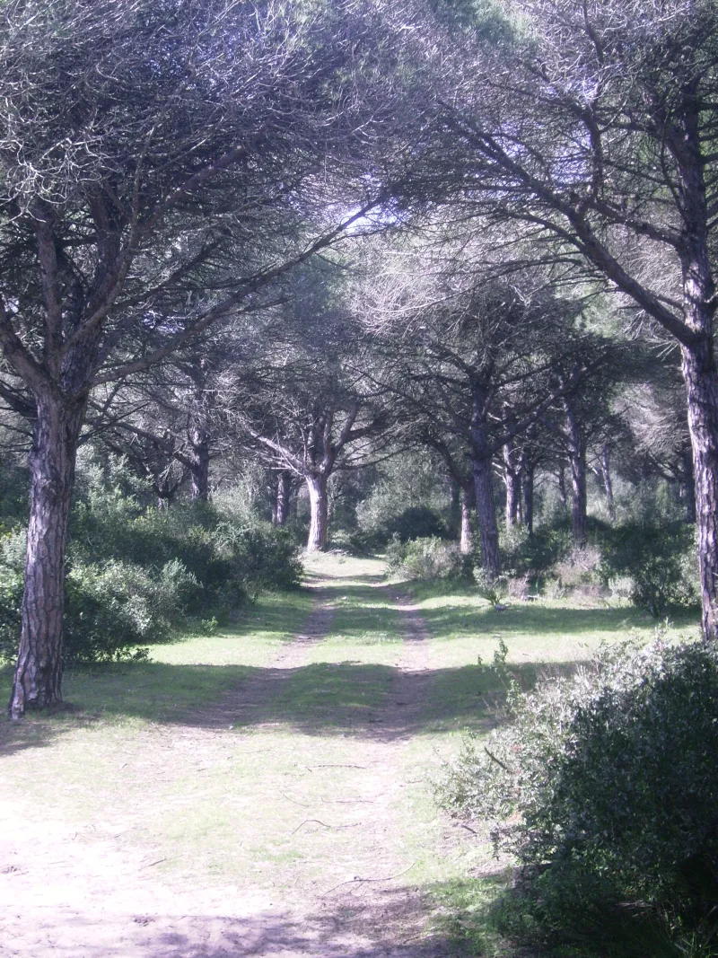 SENDERO TORRE DEL TAJO
