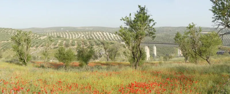 Paraje de Puente Barrancón