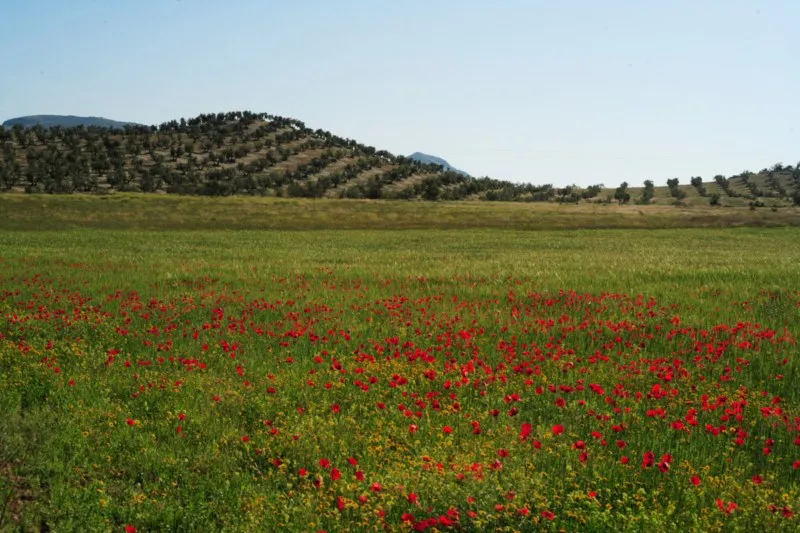 Paraje de Riofrío