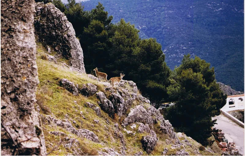 Sierra de Cazorla