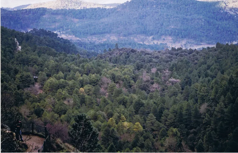 Sierra de Cazorla