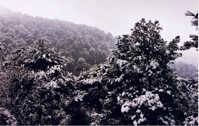 Sierra de Cazorla