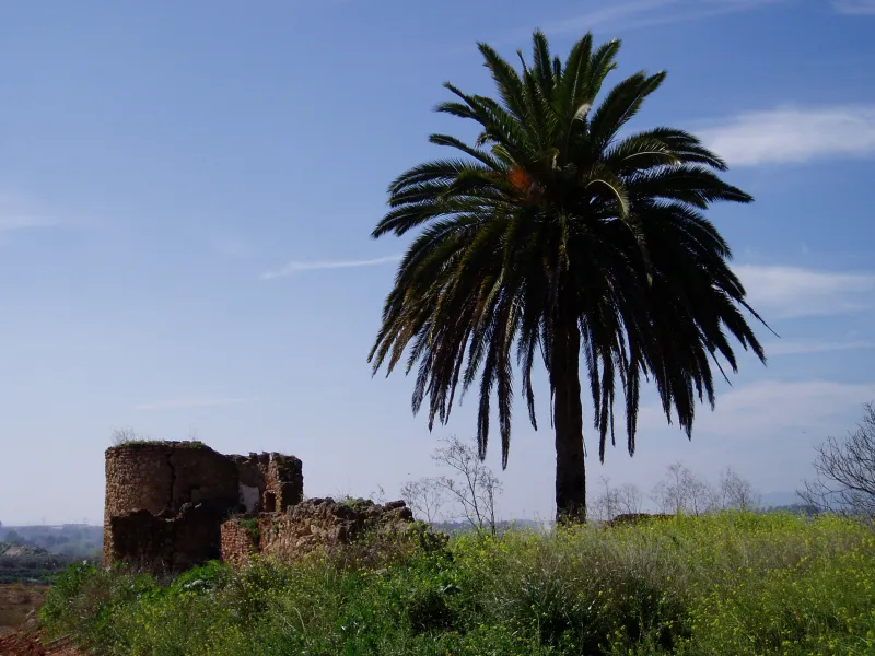 Castillo Isabela (Alcolea)