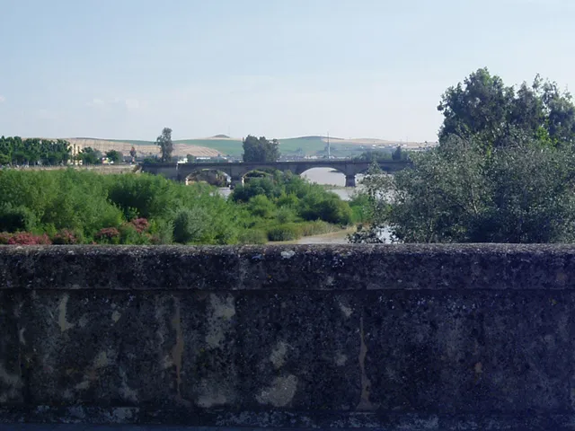 Sotos de la Albolafia