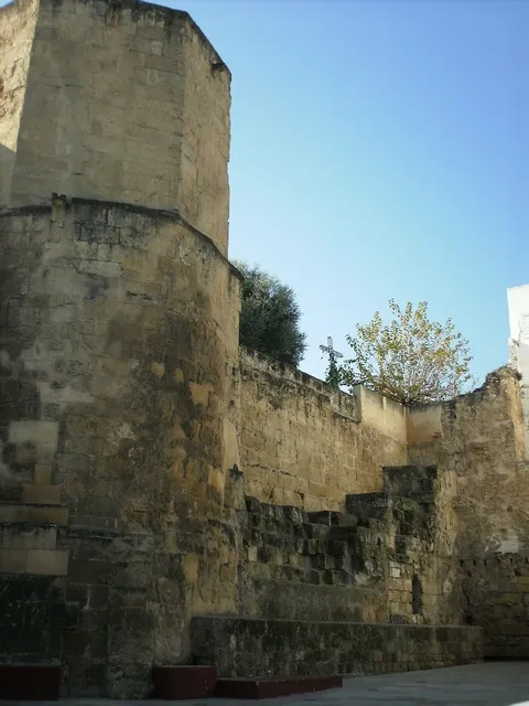 Muralla en la calle Alfaros