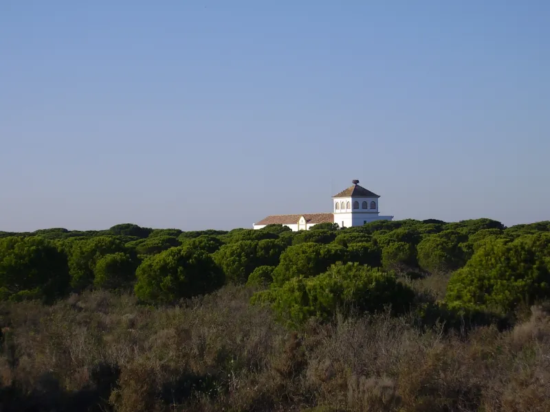 Doñana