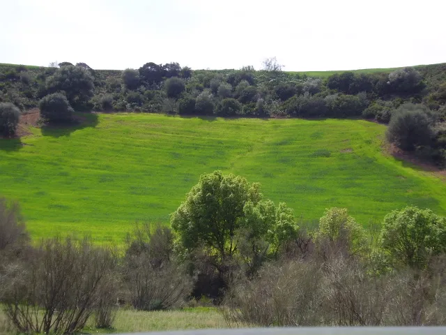 Puebla de Cazalla
