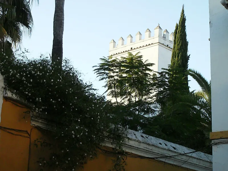 Santa Cruz
