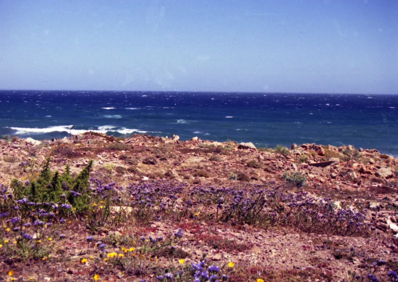 Cabo de Gata