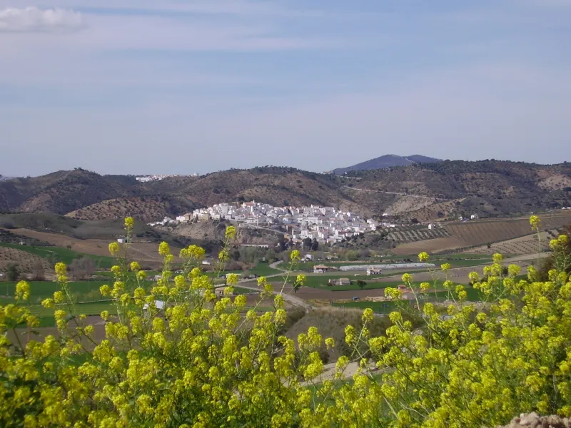 Torre Alháquime