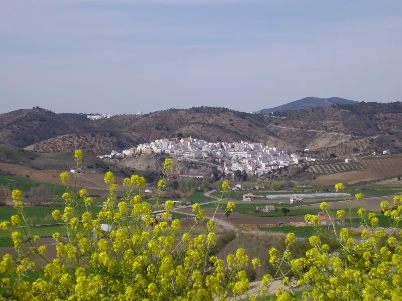 Torre Alháquime