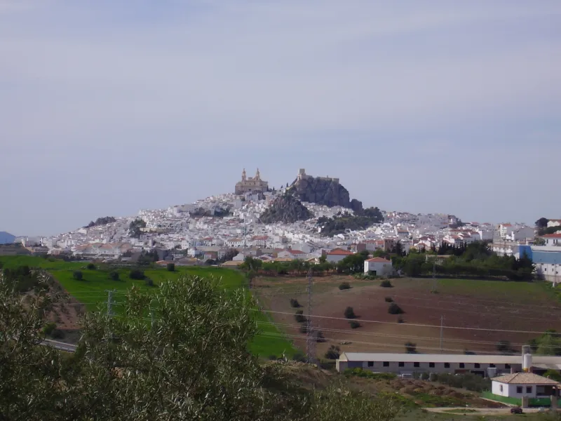 Olvera