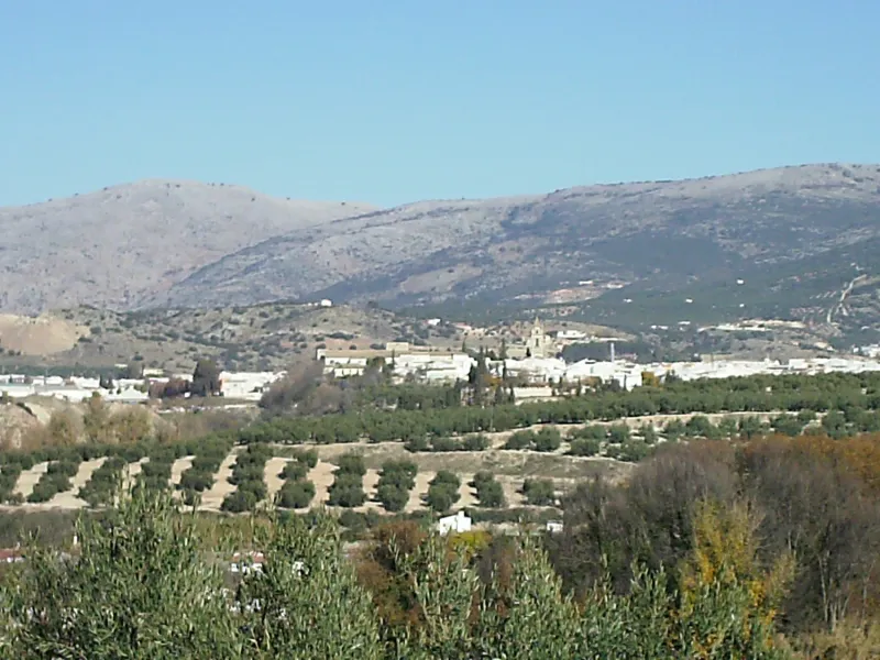 Cabra