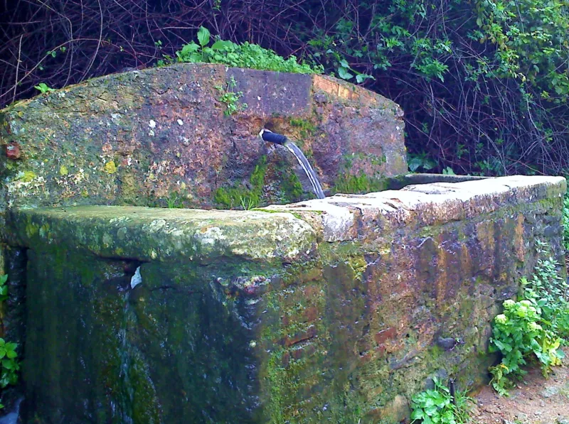 Fuente El Chorrillo