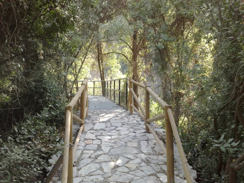 Jardin Botanico