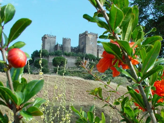 Vista del Castillo desde el Mirador de Las Pairejas