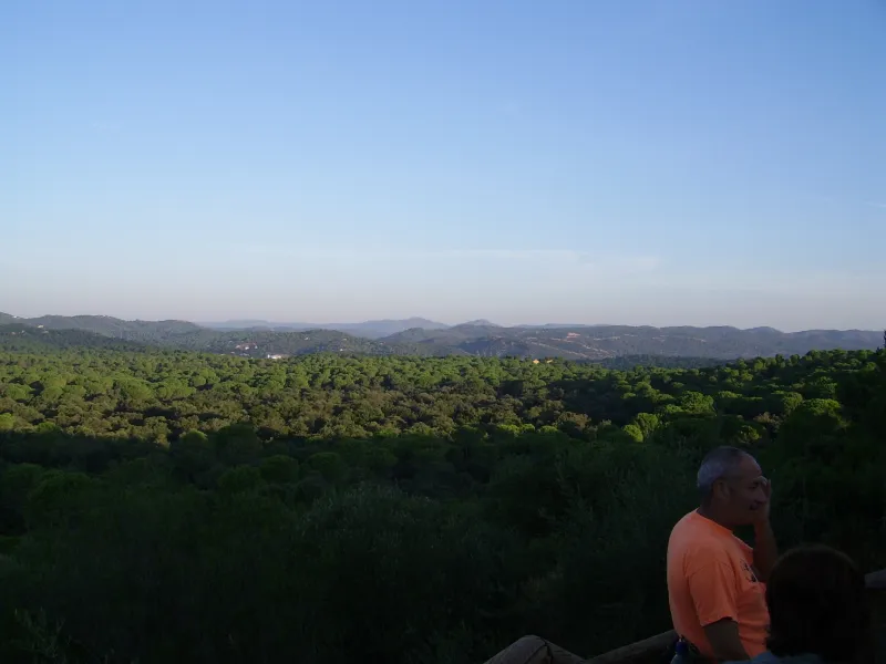 mirador