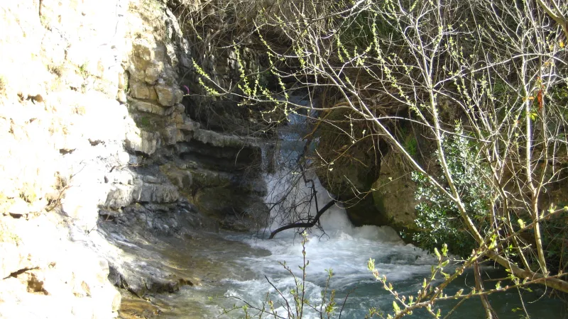pequeña cascada