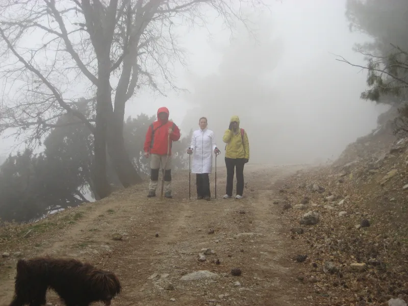 niebla en la sierra