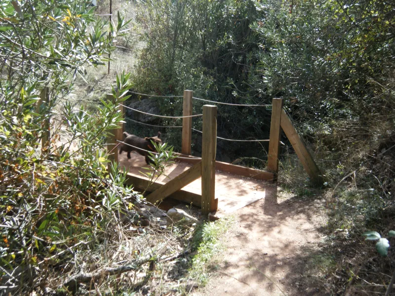 puente en el sendero
