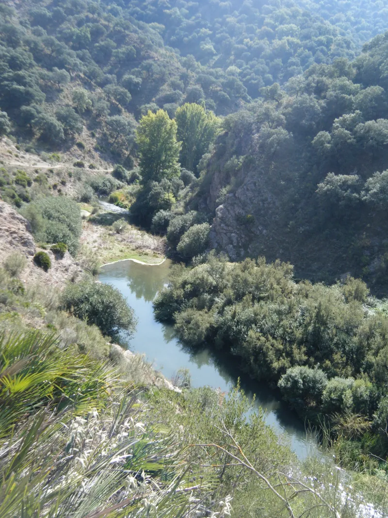 rio guadiaro