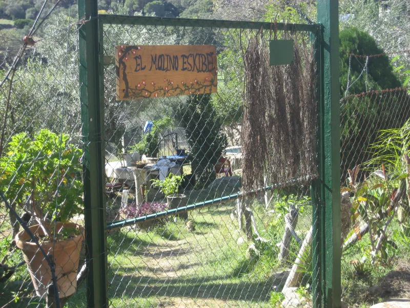 molino esquivel
