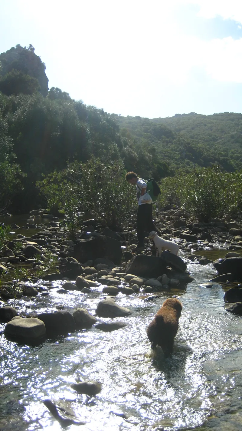 investigacion por las orillas del rio