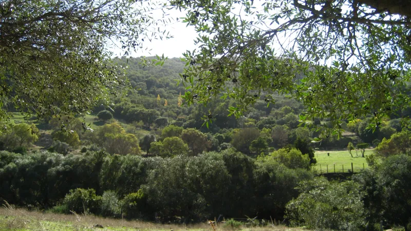 bonita vista del lugar