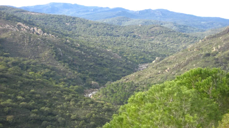 el valle del hozgarganta