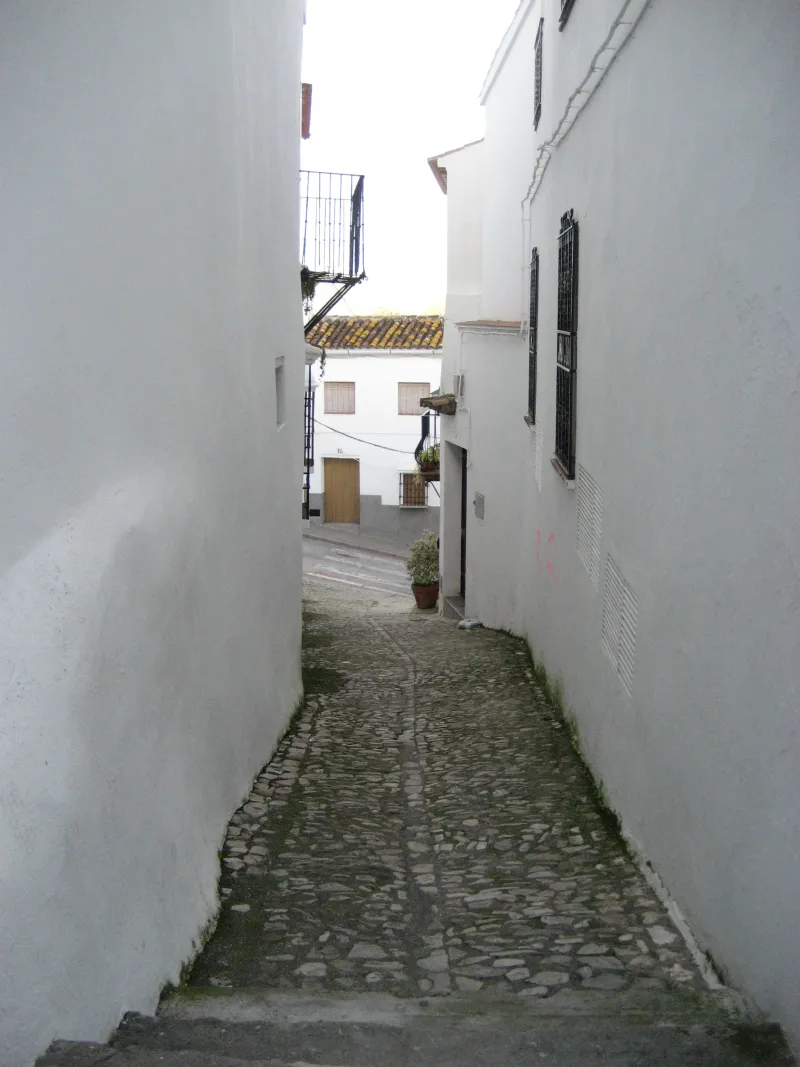 angostos pasos