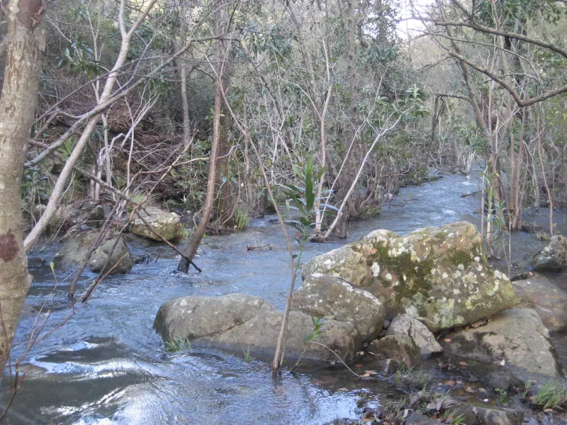 rio de la miel