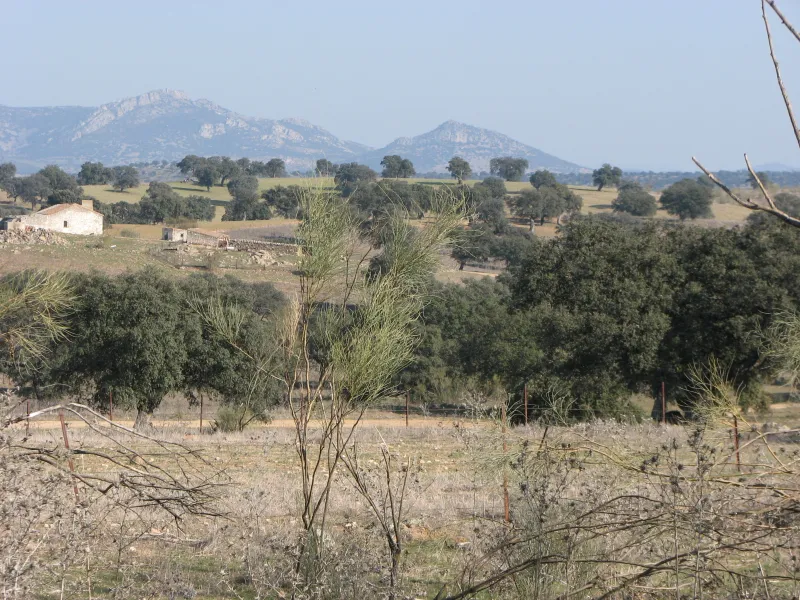 Ruta de Belalcázar a la Colada