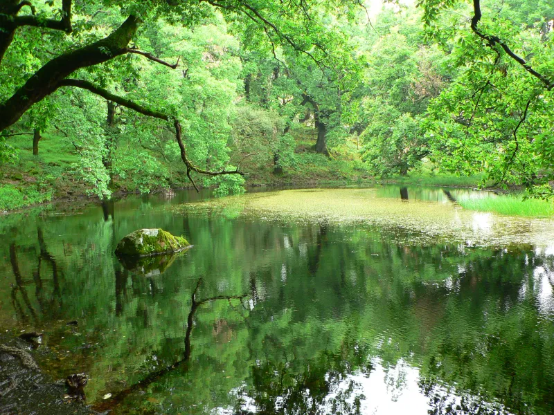 LUGAR SECRETO