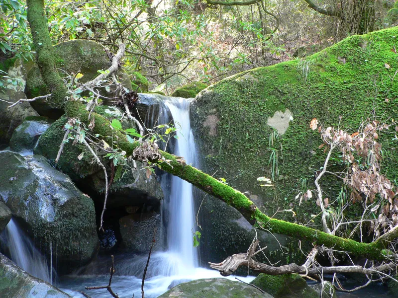 ARROYO