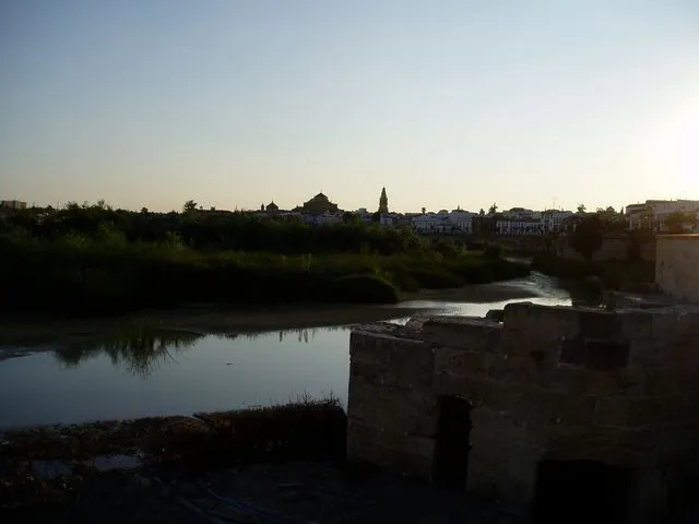 Vista Mezquita desde El Arenal