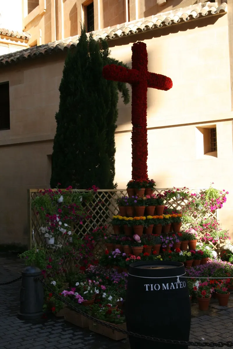 Cruz de Mayo San Hipólito