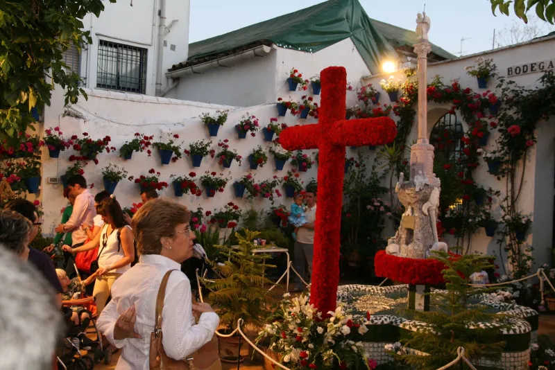 Cruz de Mayo C/ Queso