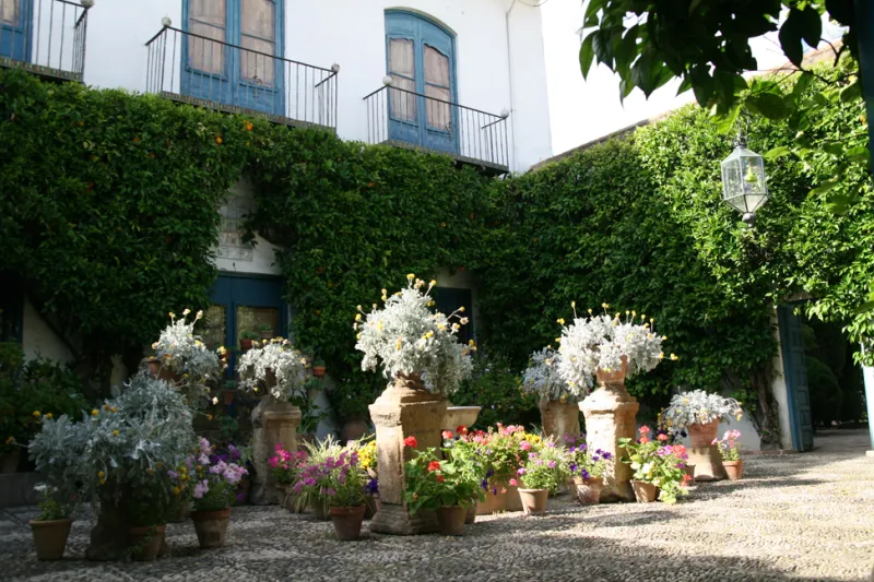 Palacio de Viana