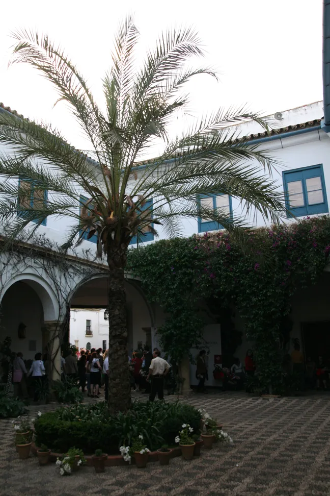 Palacio de Viana
