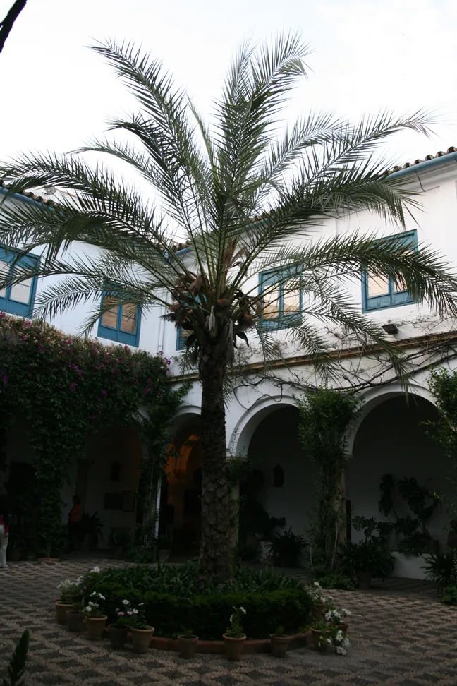 Palacio de Viana