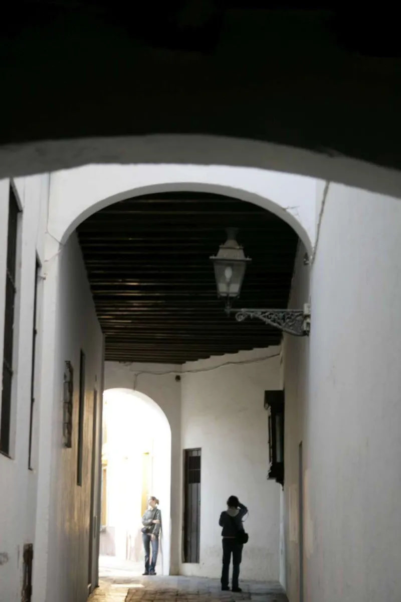 Barrio de Santa Cruz